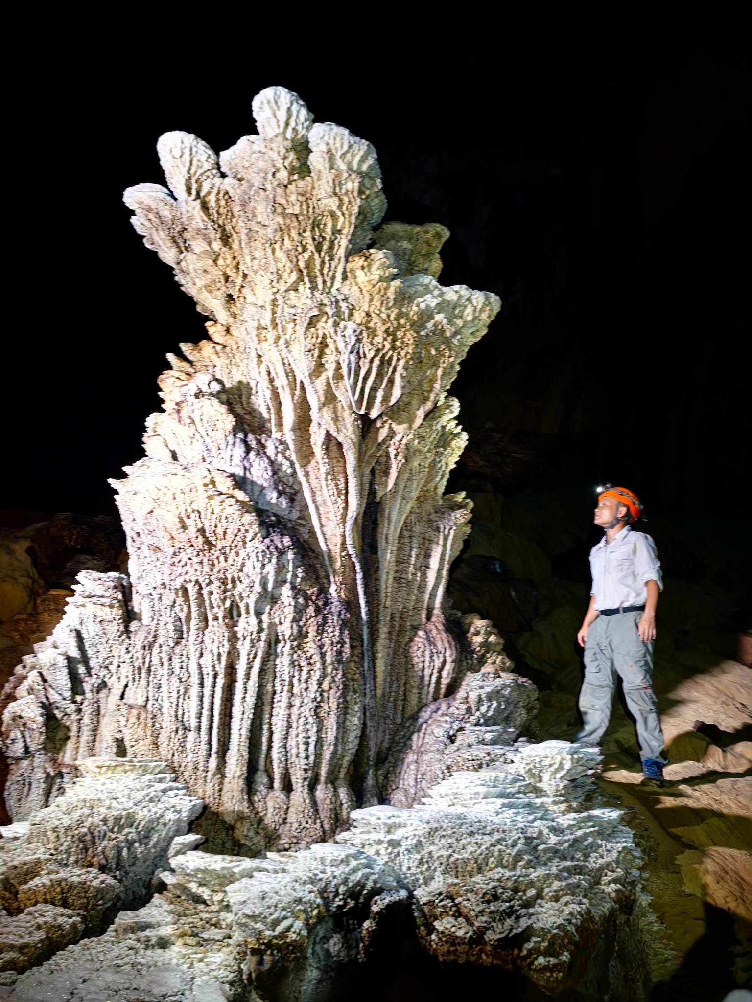 hang dong anh 1
