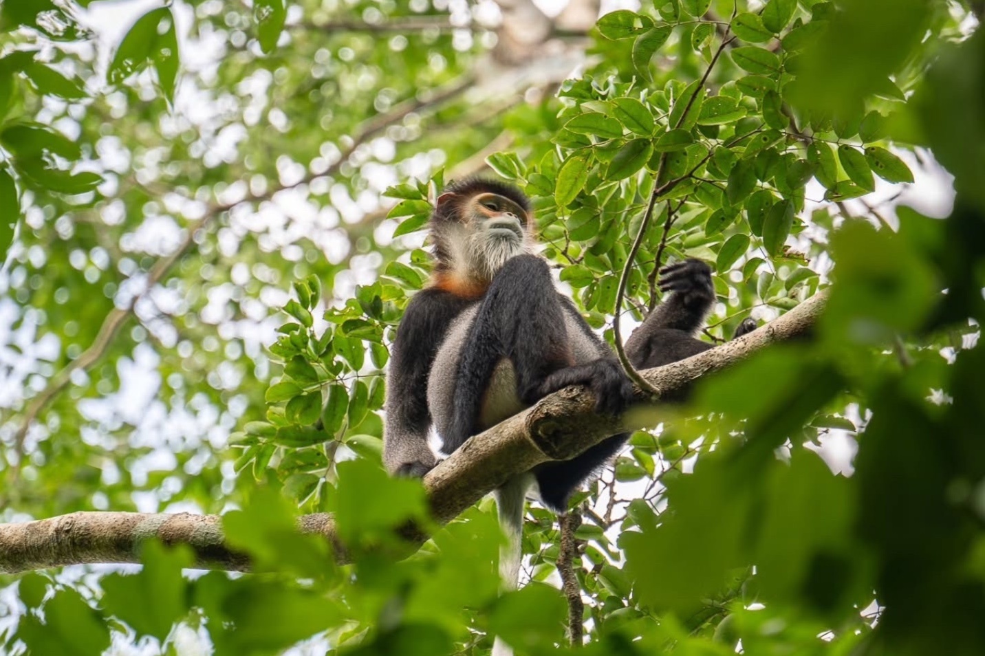 Vung Tau,  Nam Cat Tien,  Psi Scott anh 5