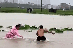900 con rắn sổng chuồng sau lũ, hé lộ ngành công nghiệp ít biết ở TQ