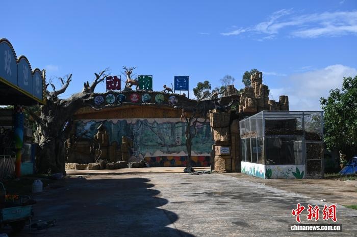sư tử,  Trung Quốc ảnh 1