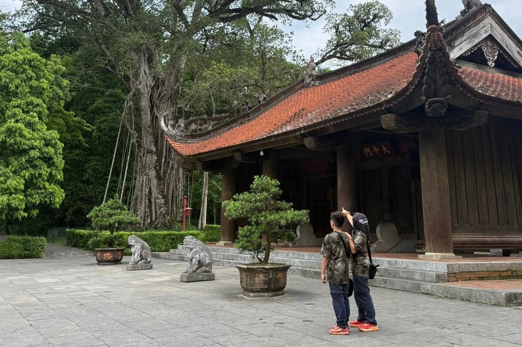 đi bộ ảnh 5 đi bộ ảnh 5