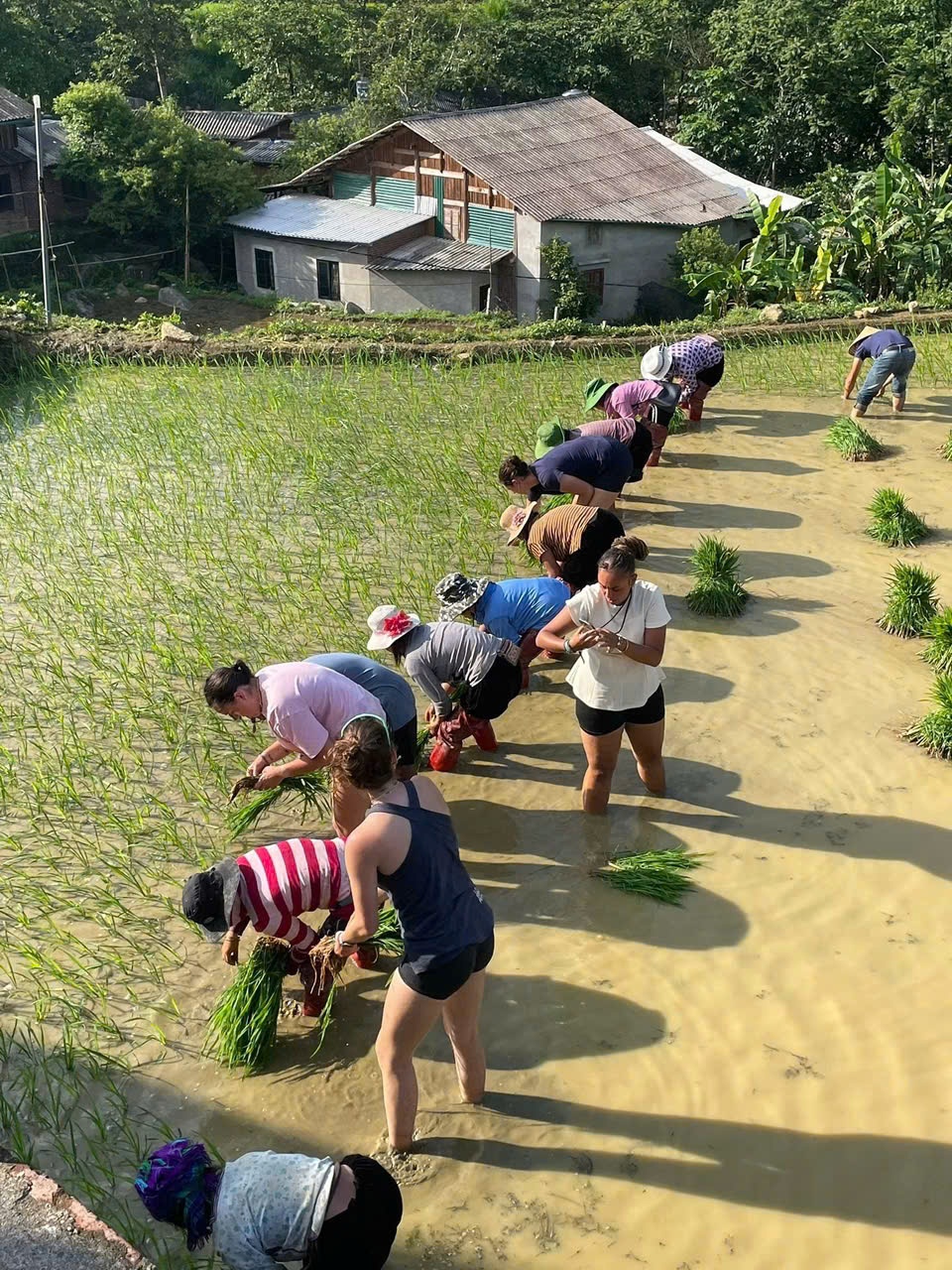 Sa Pa,  kh&aacute;ch T&acirc;y ảnh 1