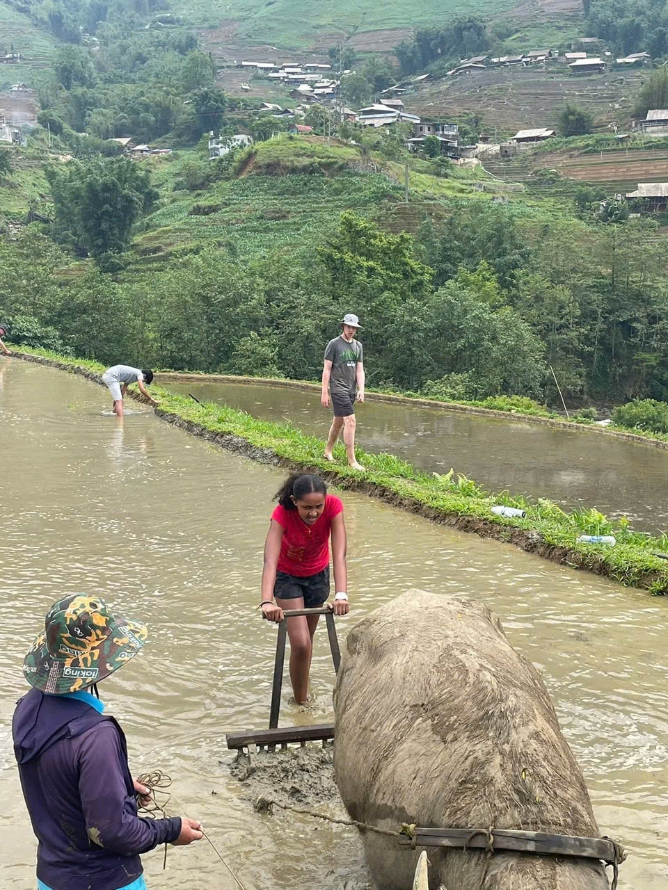 Sa Pa,  kh&aacute;ch T&acirc;y ảnh 2