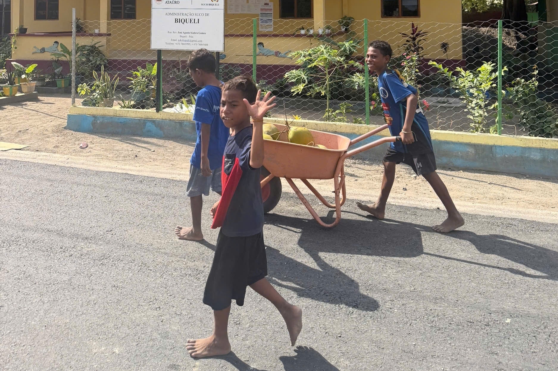 Timor Leste, Đông Nam Á ảnh 11 Timor Leste, Đông Nam Á ảnh 11