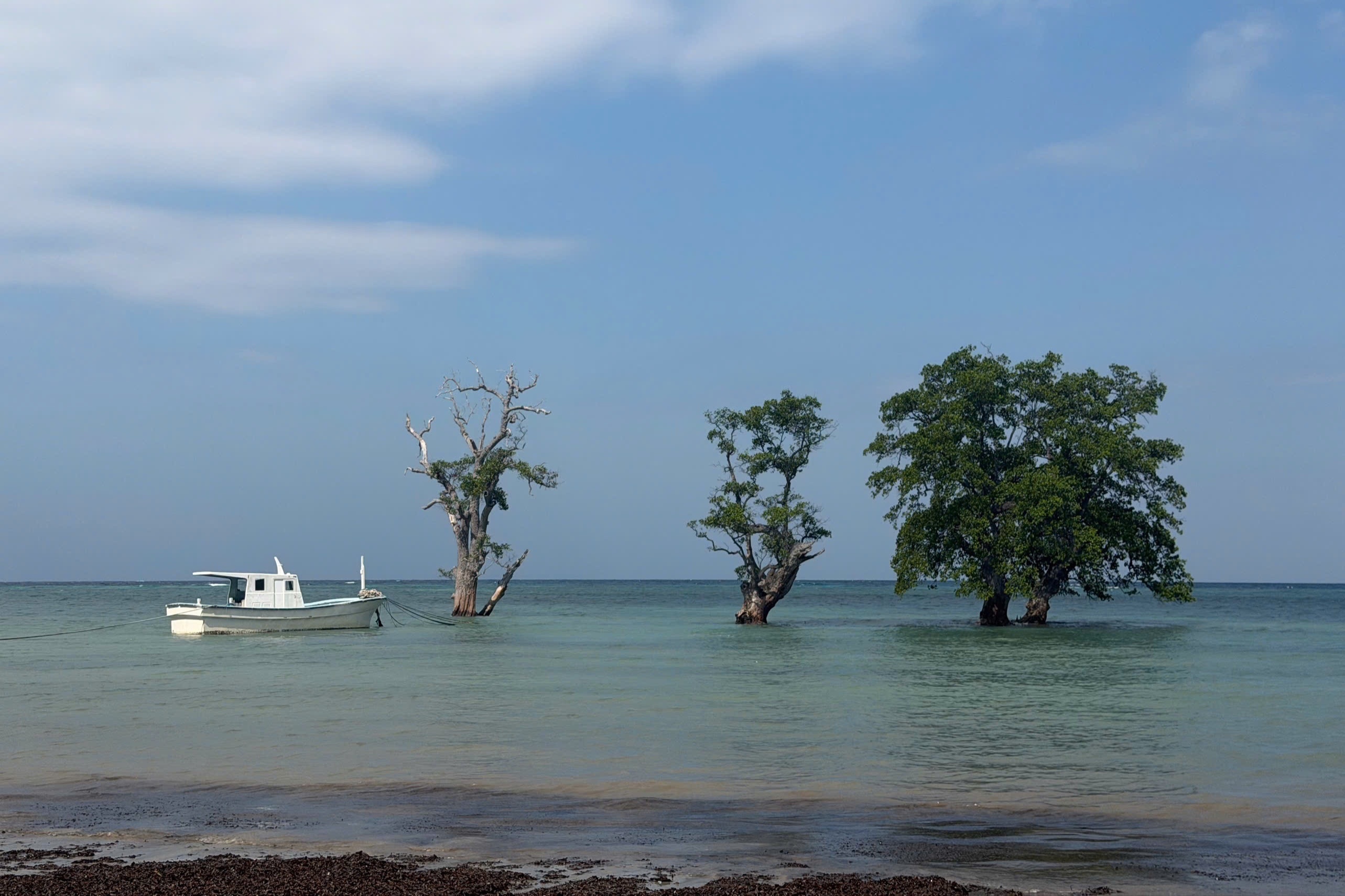 Timor Leste, Đông Nam Á ảnh 6 Timor Leste, Đông Nam Á ảnh 6