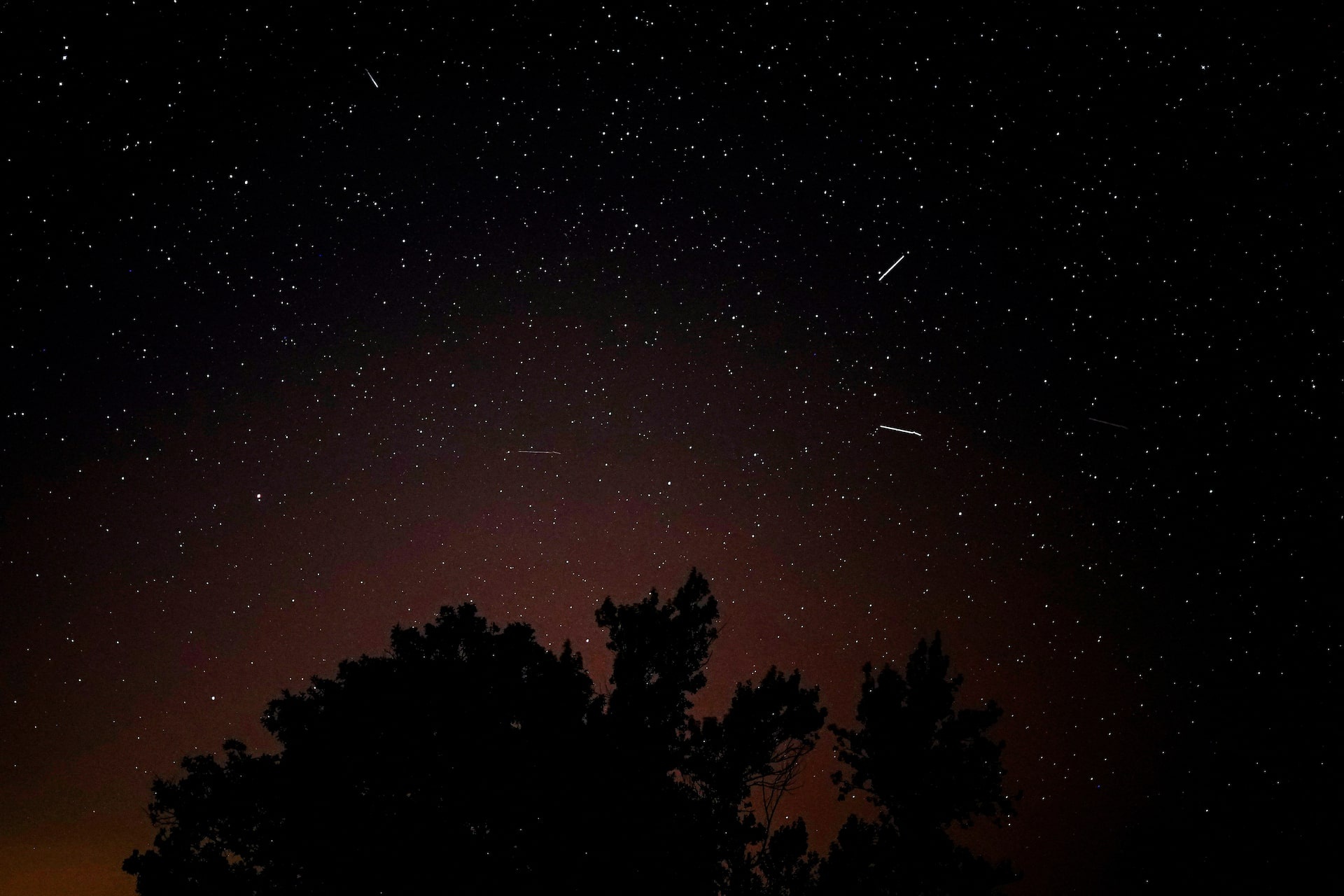 mưa sao băng, Perseids ảnh 5 mưa sao băng, Perseids ảnh 5