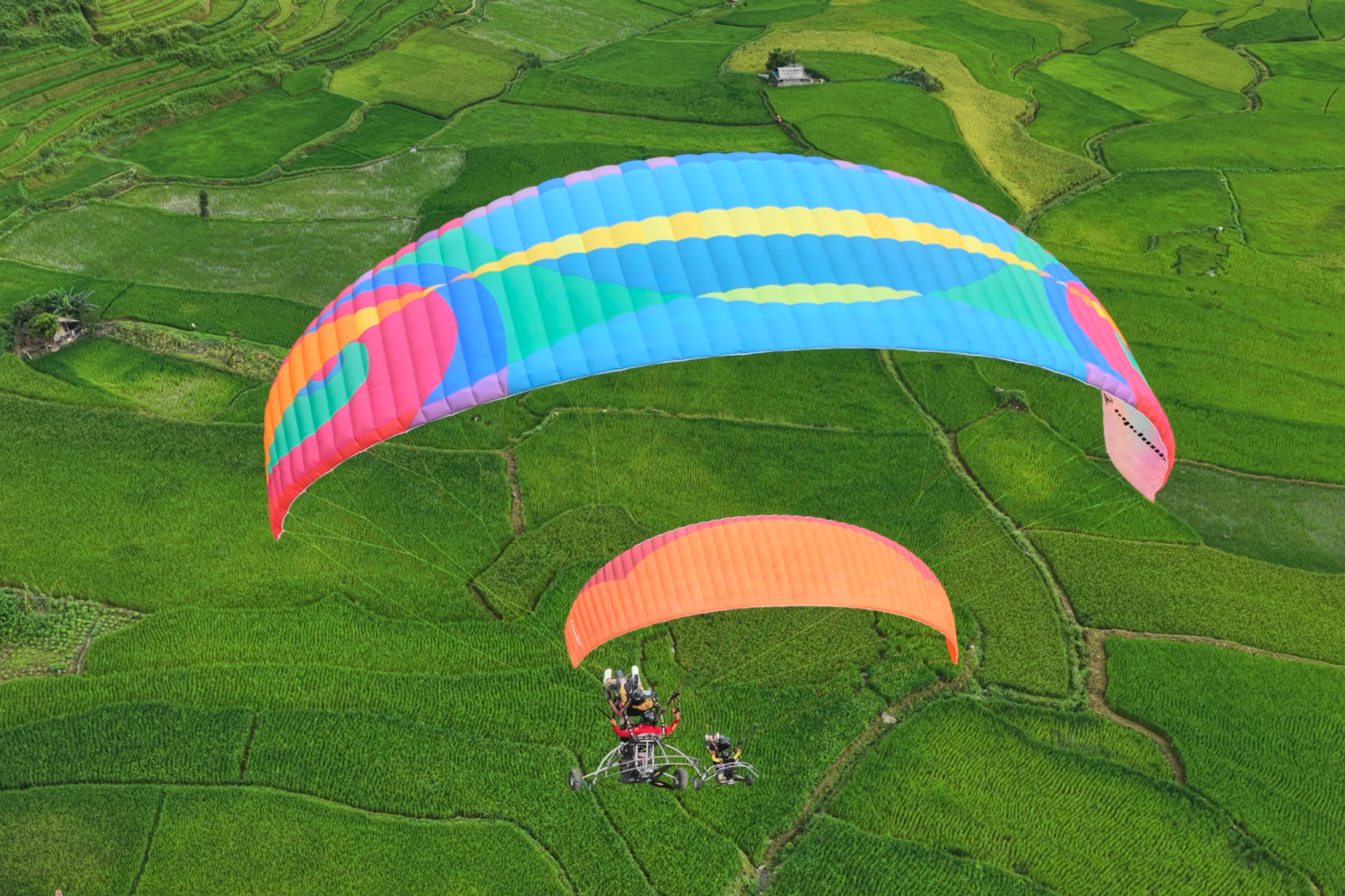 C&ocirc; g&aacute;i L&agrave;o,  Maysaa ảnh 3