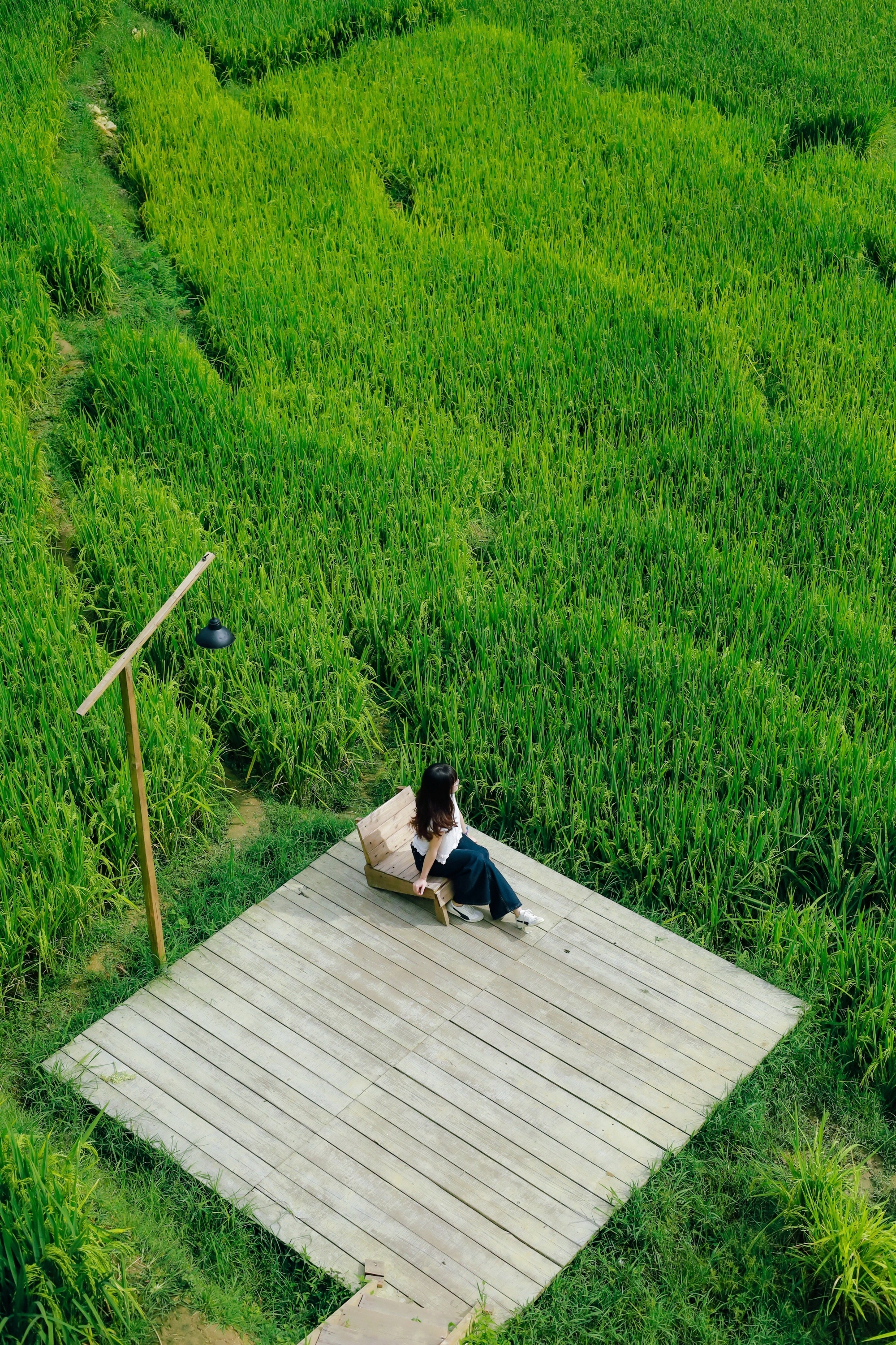 m&ugrave;a l&uacute;a xanh,  Tả Van ảnh 4