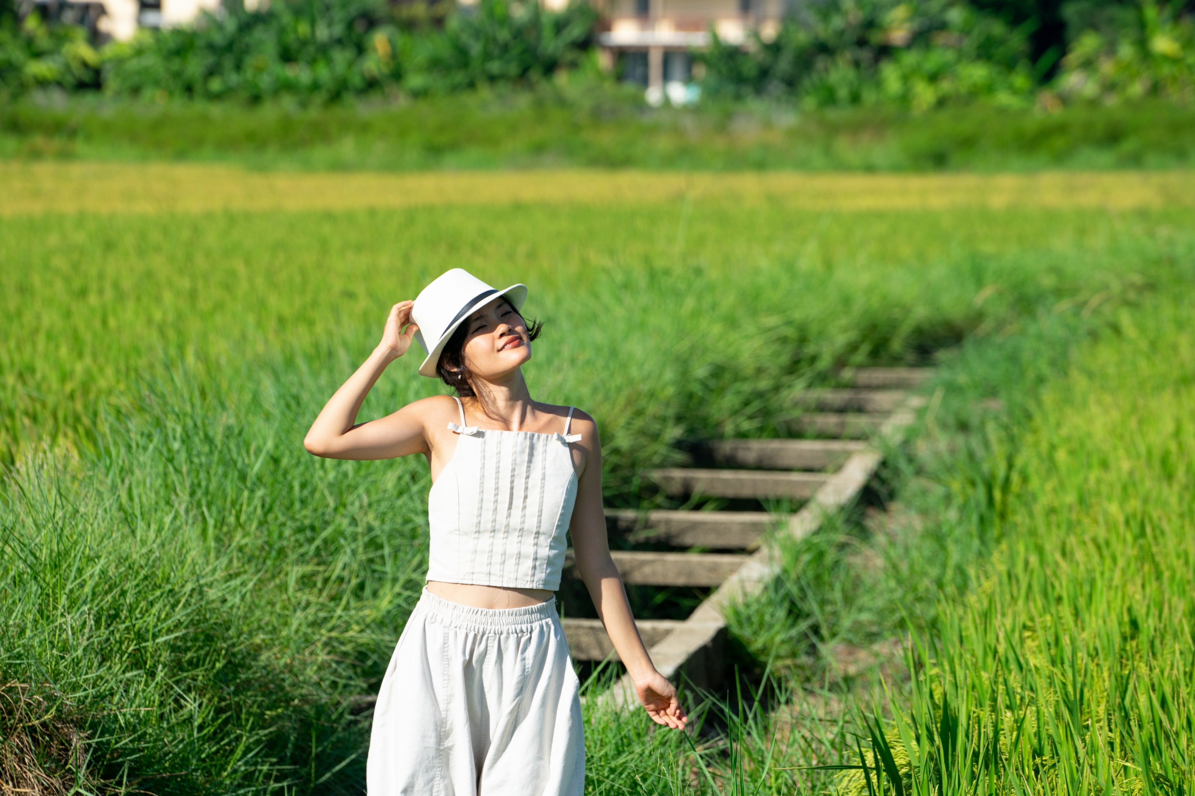 Hội An ảnh 8