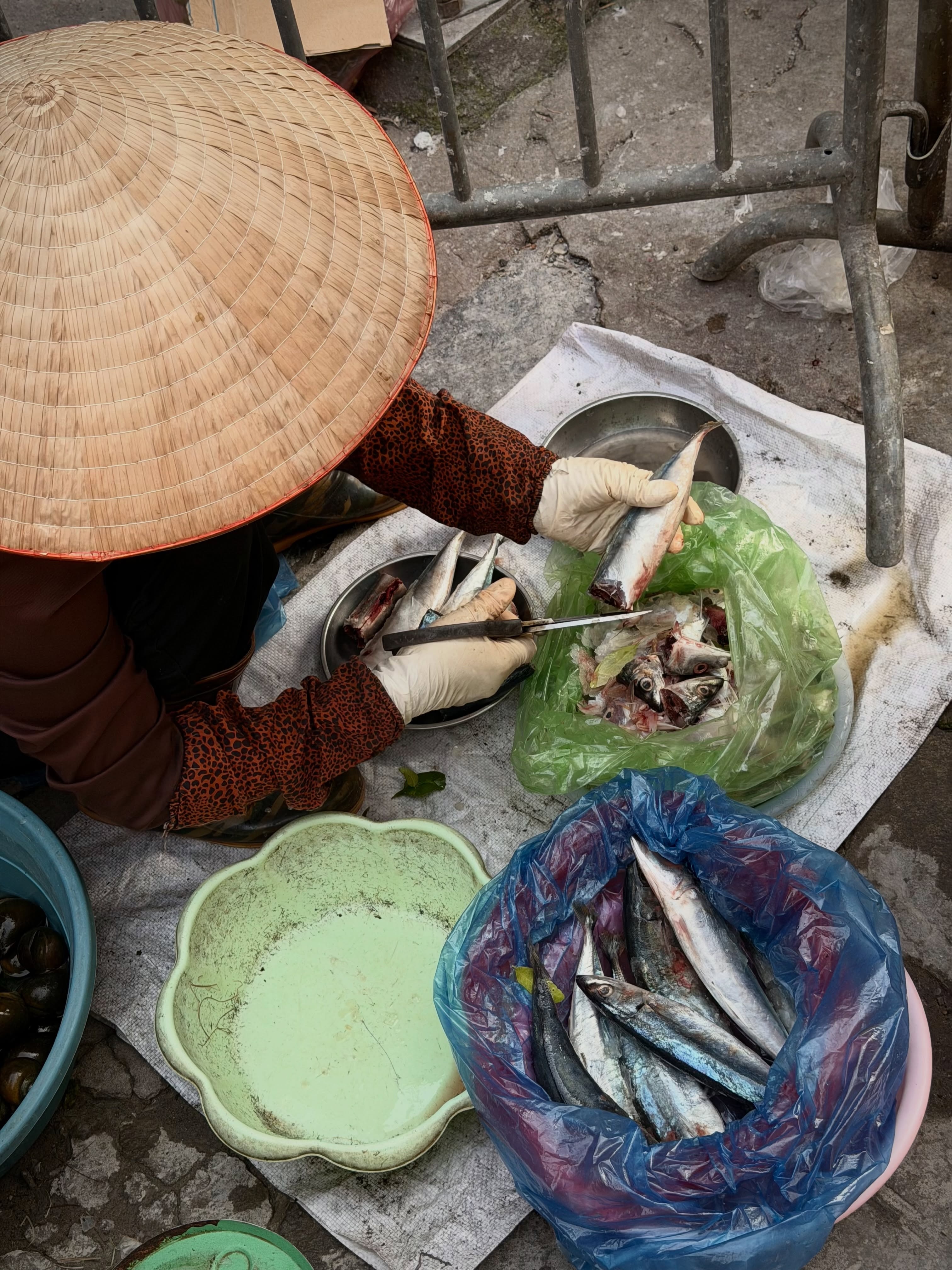 Hoa hậu thế giới,  H&agrave; Nội ảnh 7