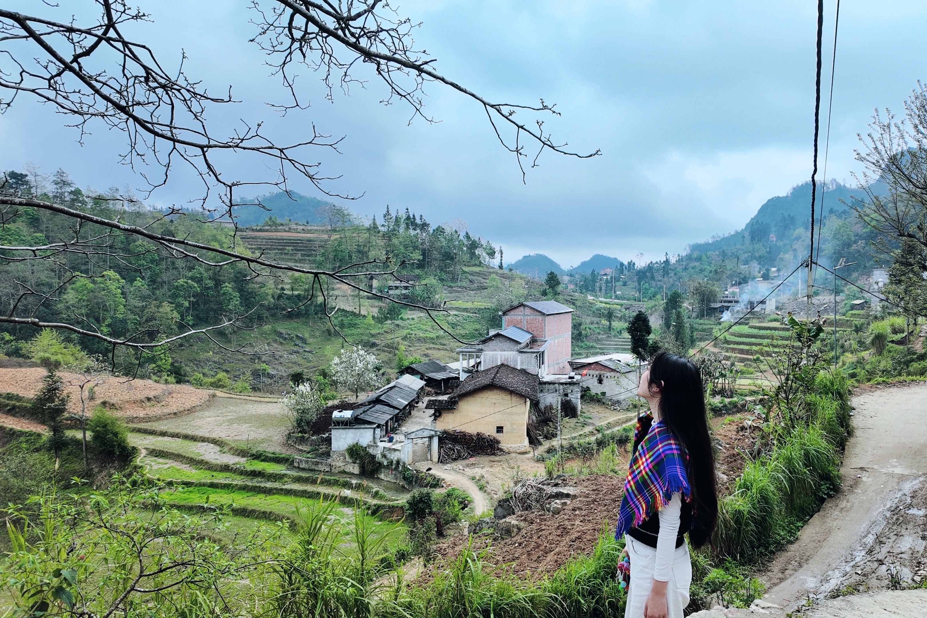 L&ocirc; L&ocirc; Chải ảnh 4