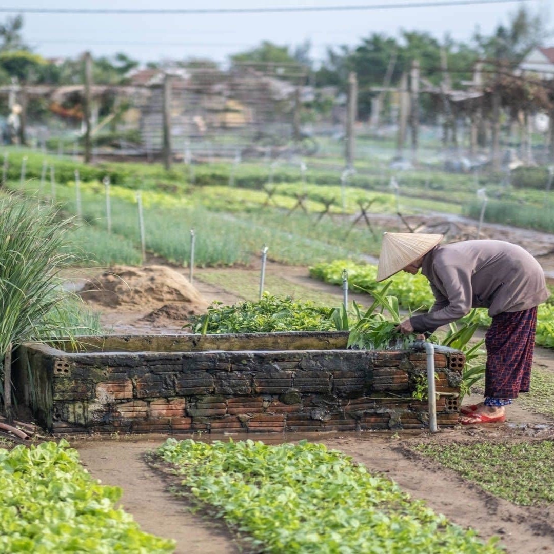 L&ocirc; L&ocirc; Chải ảnh 2