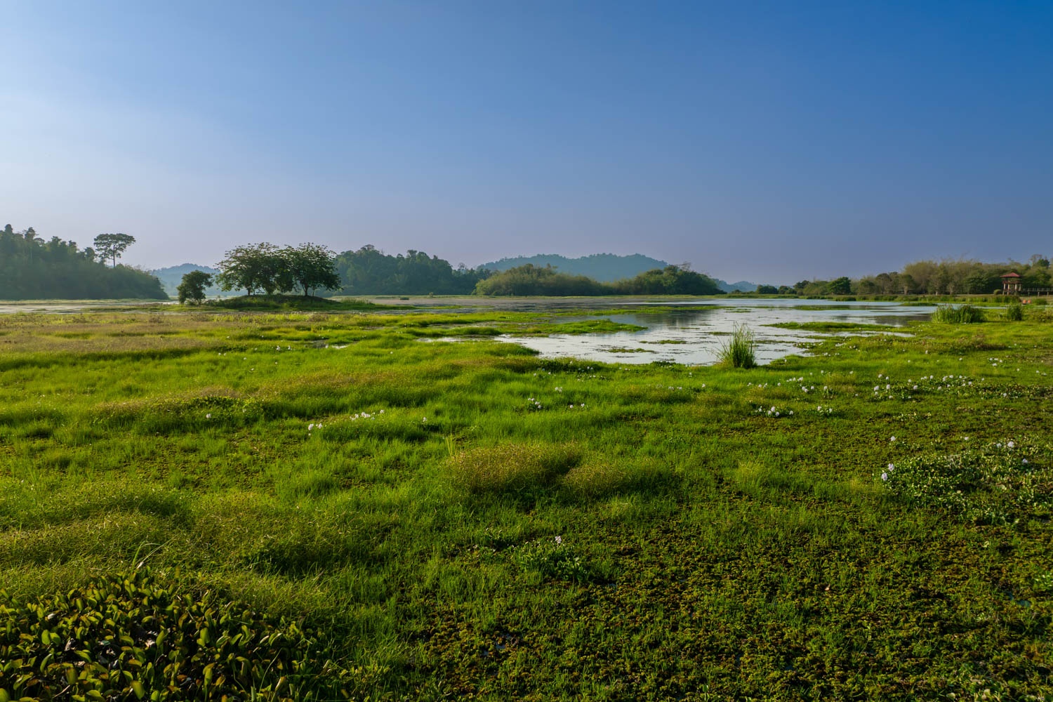 Việt Nam,  C&aacute;t Ti&ecirc;n ảnh 2
