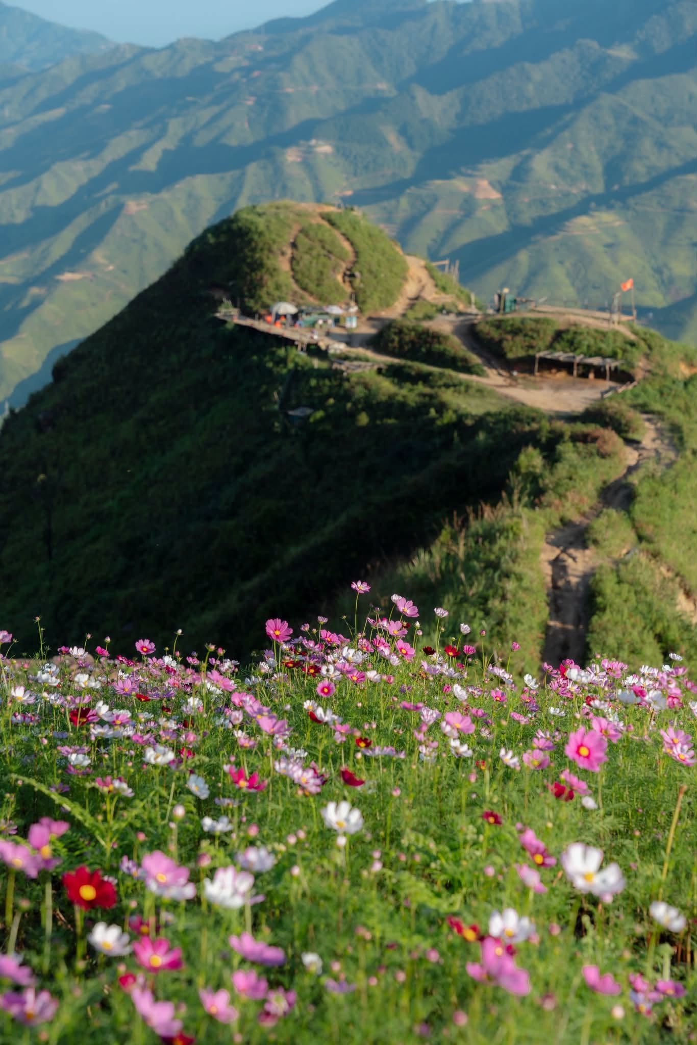 T&agrave; X&ugrave;a,  vườn hoa ảnh 8
