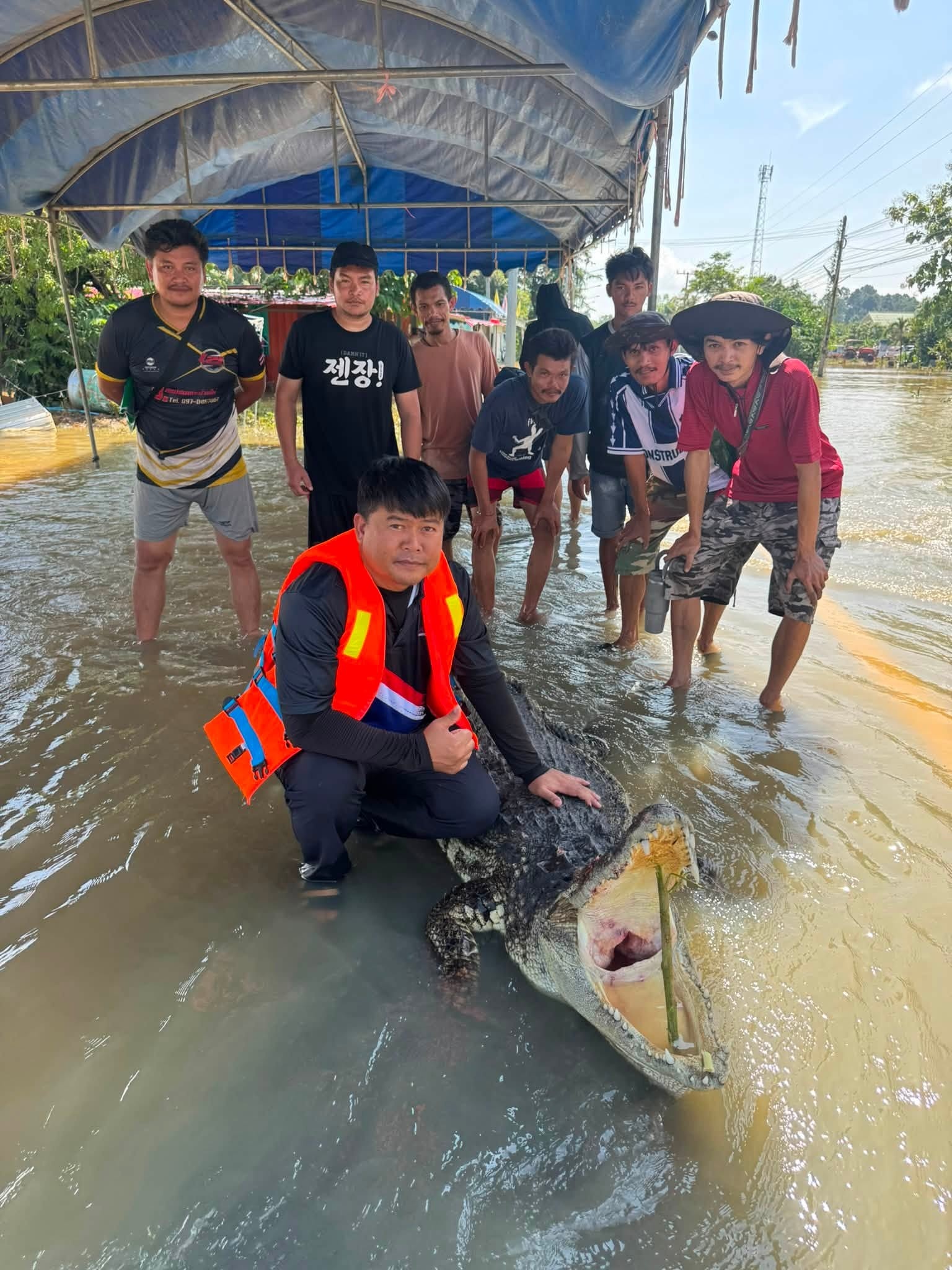 Th&aacute;i Lan,  c&aacute; sấu ảnh 1