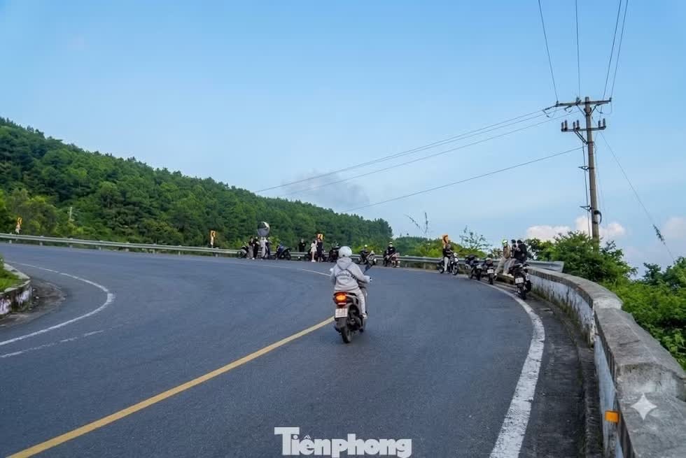 đ&egrave;o Hải V&acirc;n ảnh 6