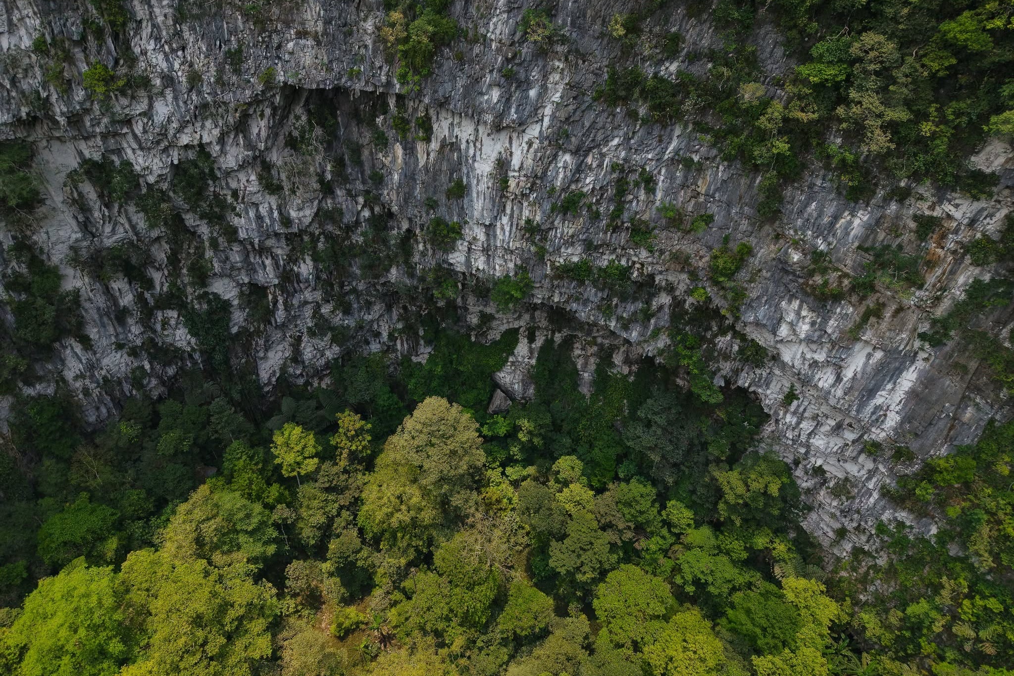 hố sụt,  Phong Nha Kẻ B&agrave;ng ảnh 2