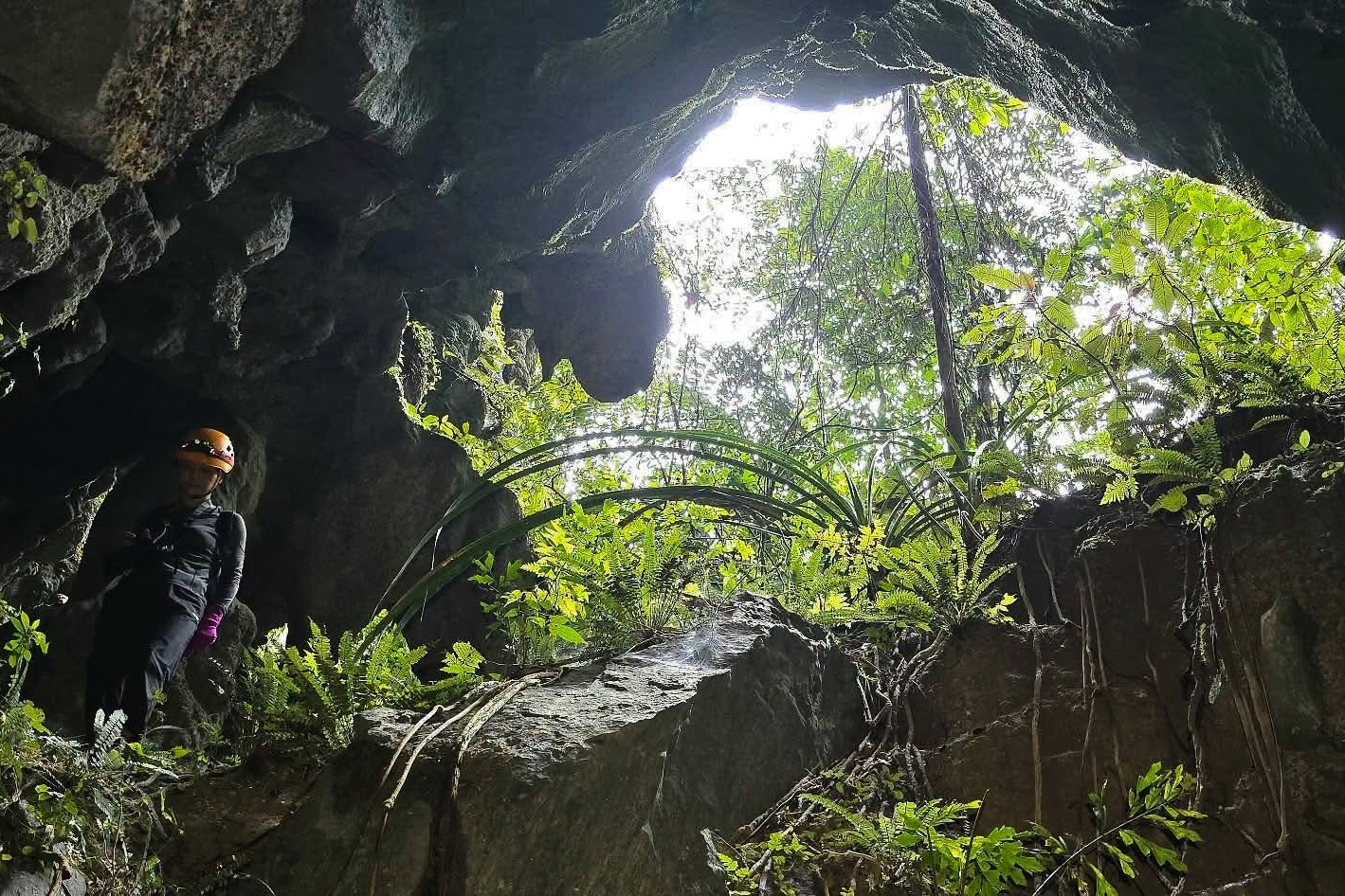hố sụt,  Phong Nha Kẻ B&agrave;ng ảnh 3