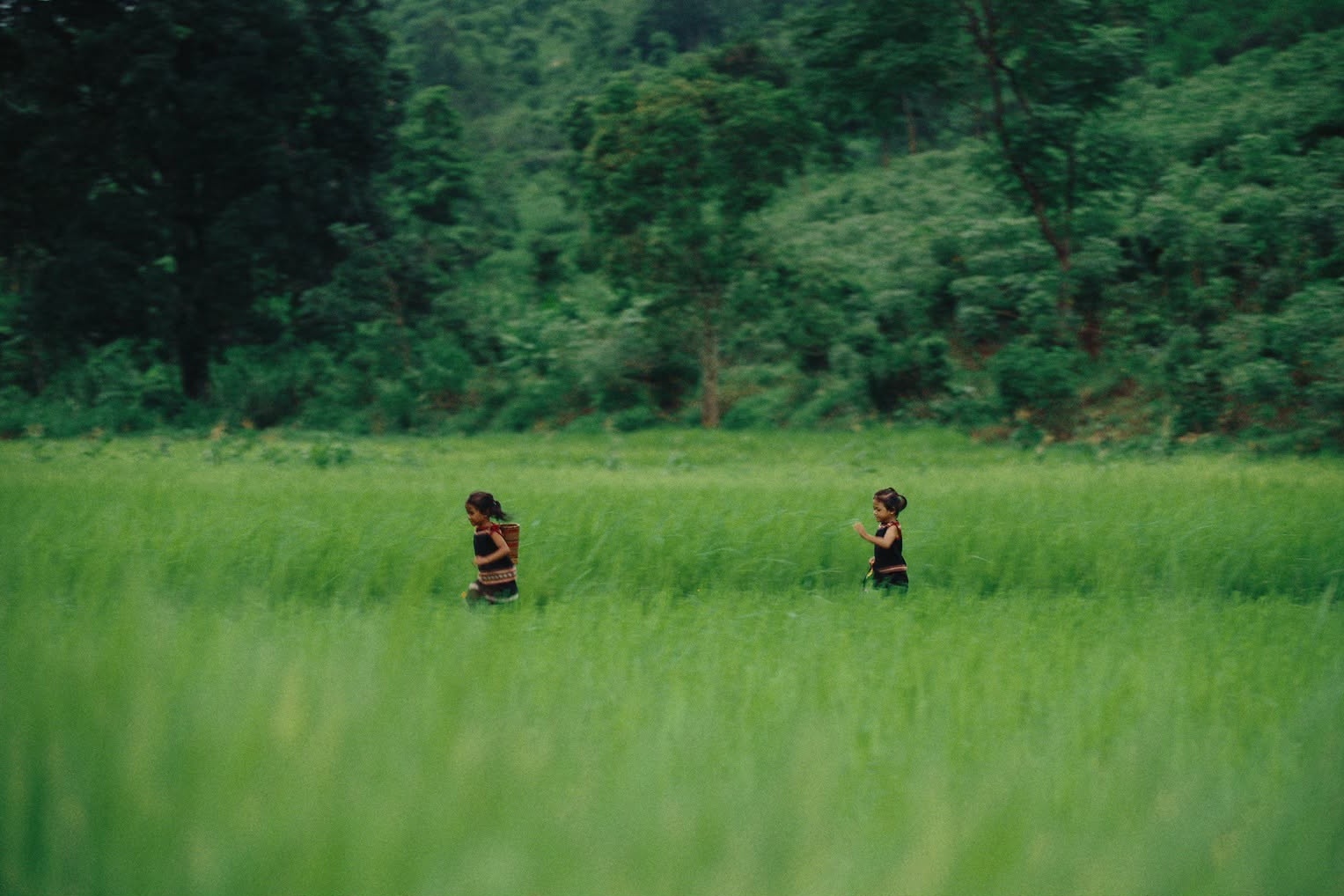 Đen V&acirc;u,  Gia Lai ảnh 15