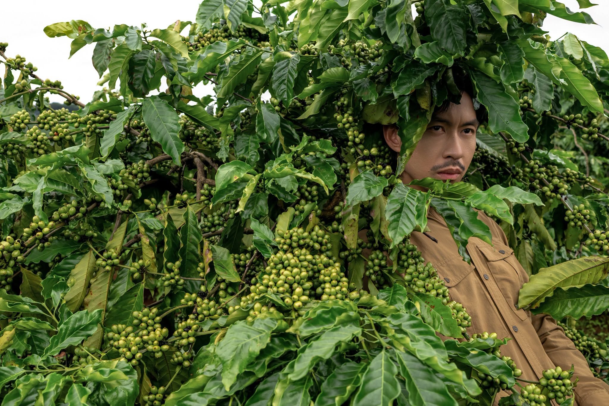 Đen V&acirc;u,  Gia Lai ảnh 9