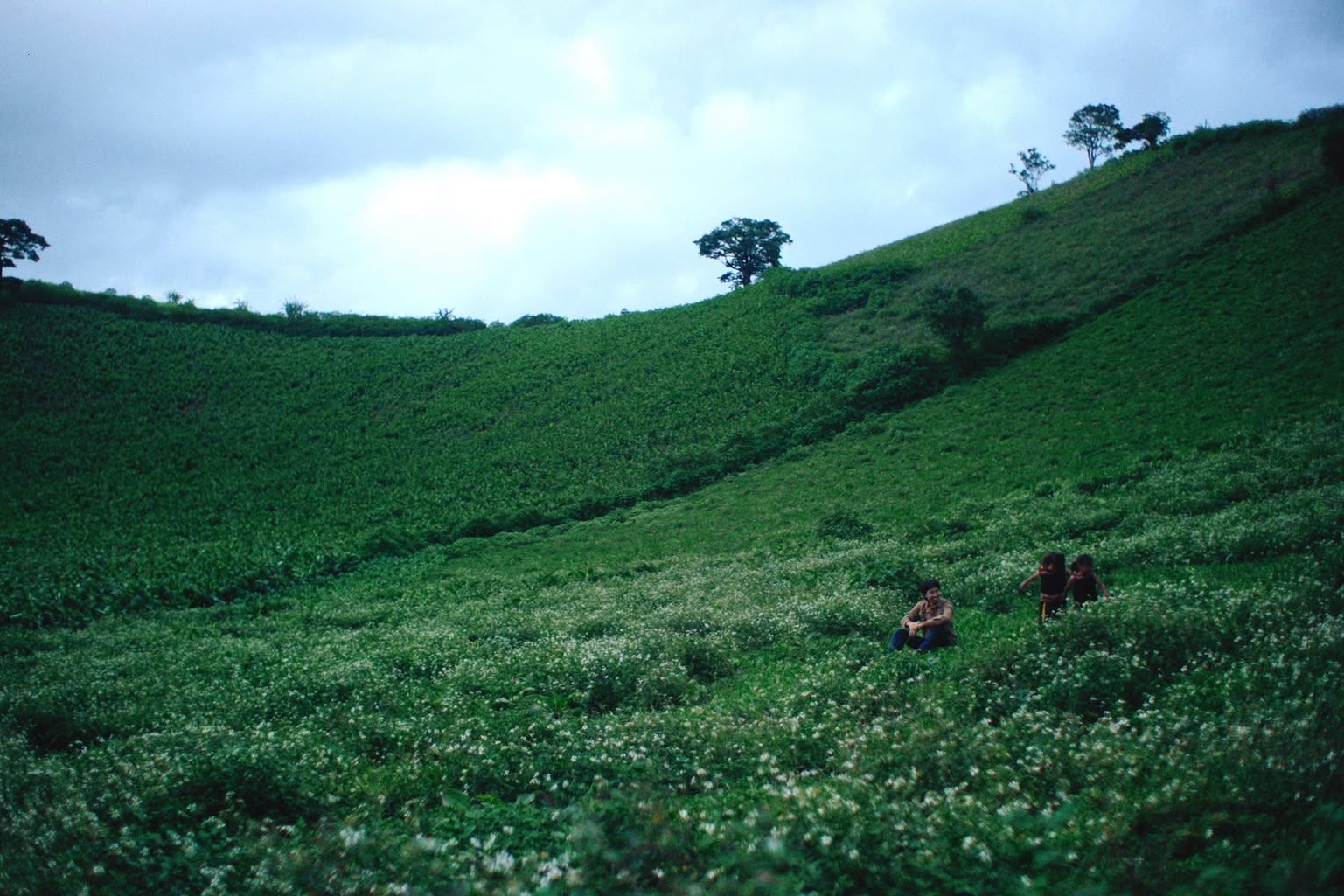 Đen V&acirc;u,  Gia Lai ảnh 10