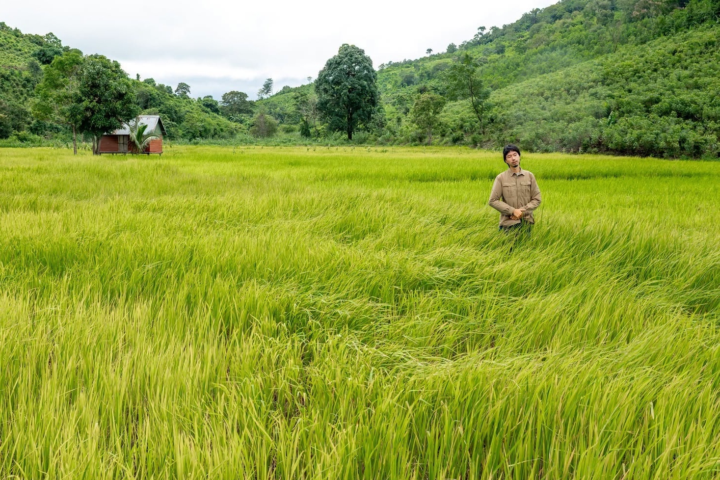 Đen V&acirc;u,  Gia Lai ảnh 14