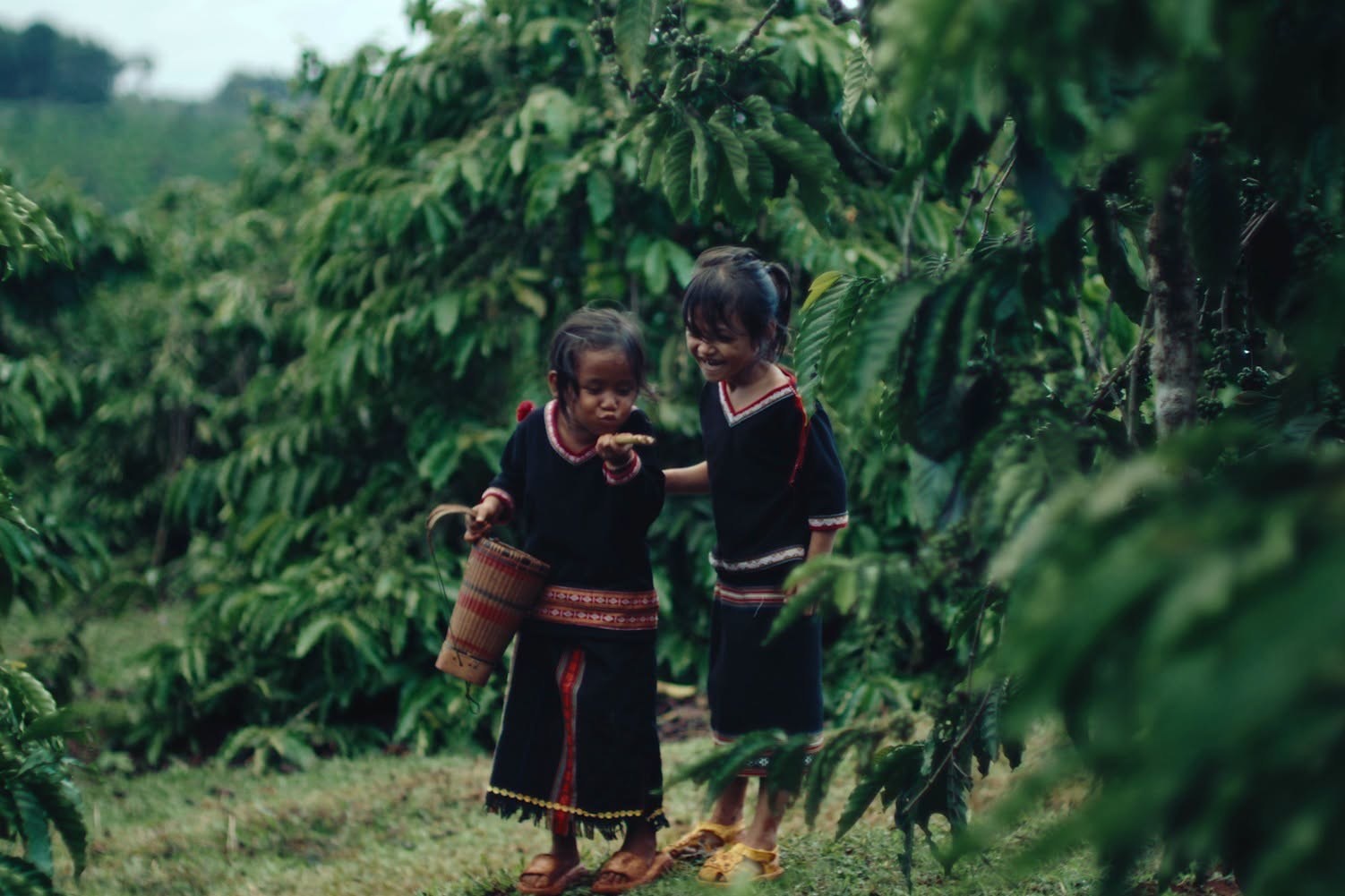 Đen V&acirc;u,  Gia Lai ảnh 6