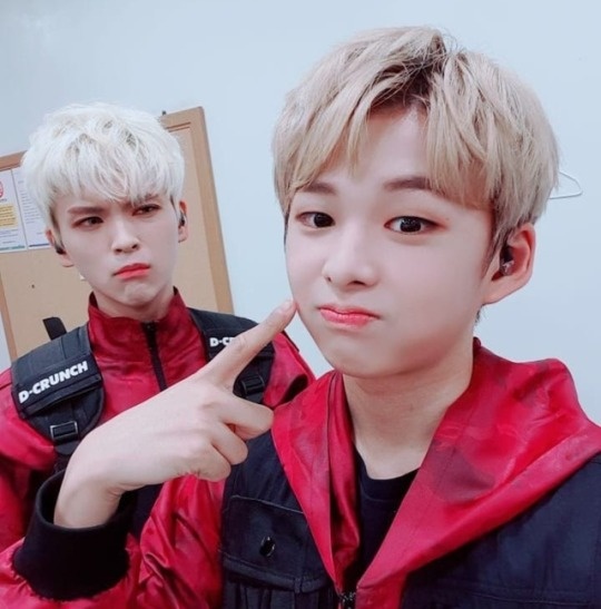 Nhom nhac nam bi huy dien vi tin don la gay hinh anh