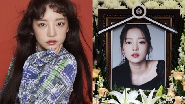 Ai thua ke gia san 10 trieu USD cua Goo Hara? hinh anh