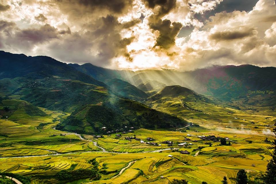 Mù Cang Chải mùa lúa chín ảnh 9 Mu Cang Chai mua lua chin anh 9
