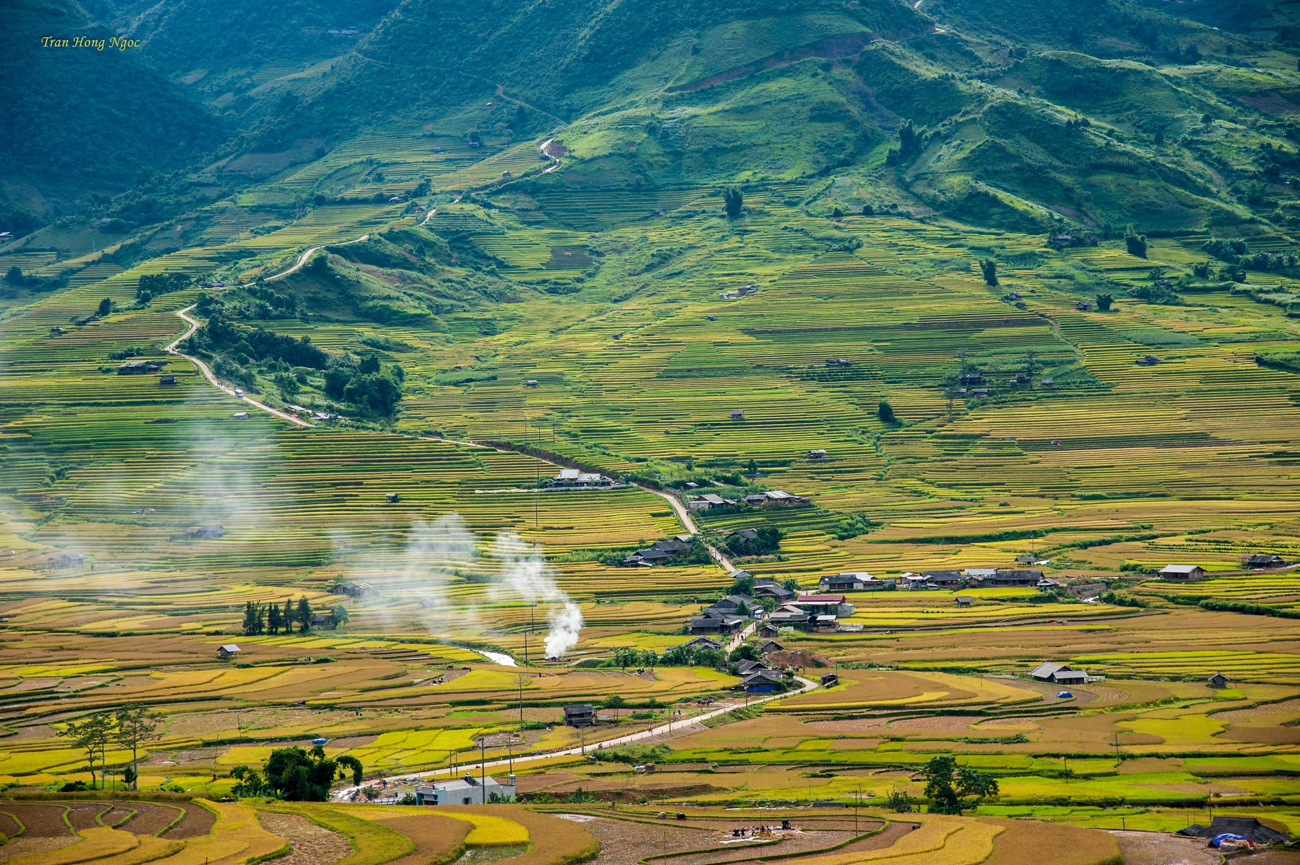 Mù Cang Chải mùa lúa chín ảnh 1 Mu Cang Chai mua lua chin anh 1