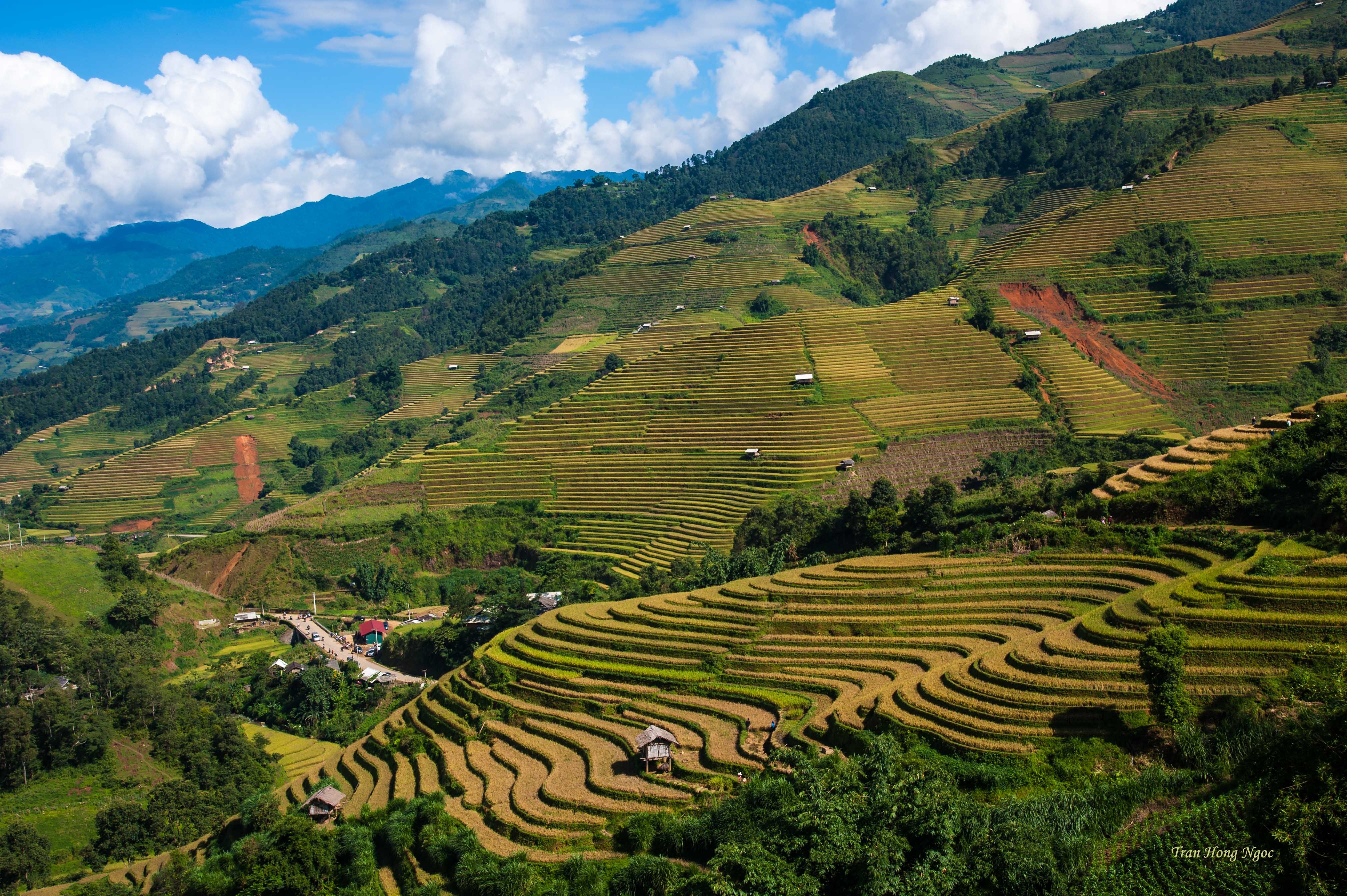 Mù Cang Chải mùa lúa chín ảnh 3 Mu Cang Chai mua lua chin anh 3