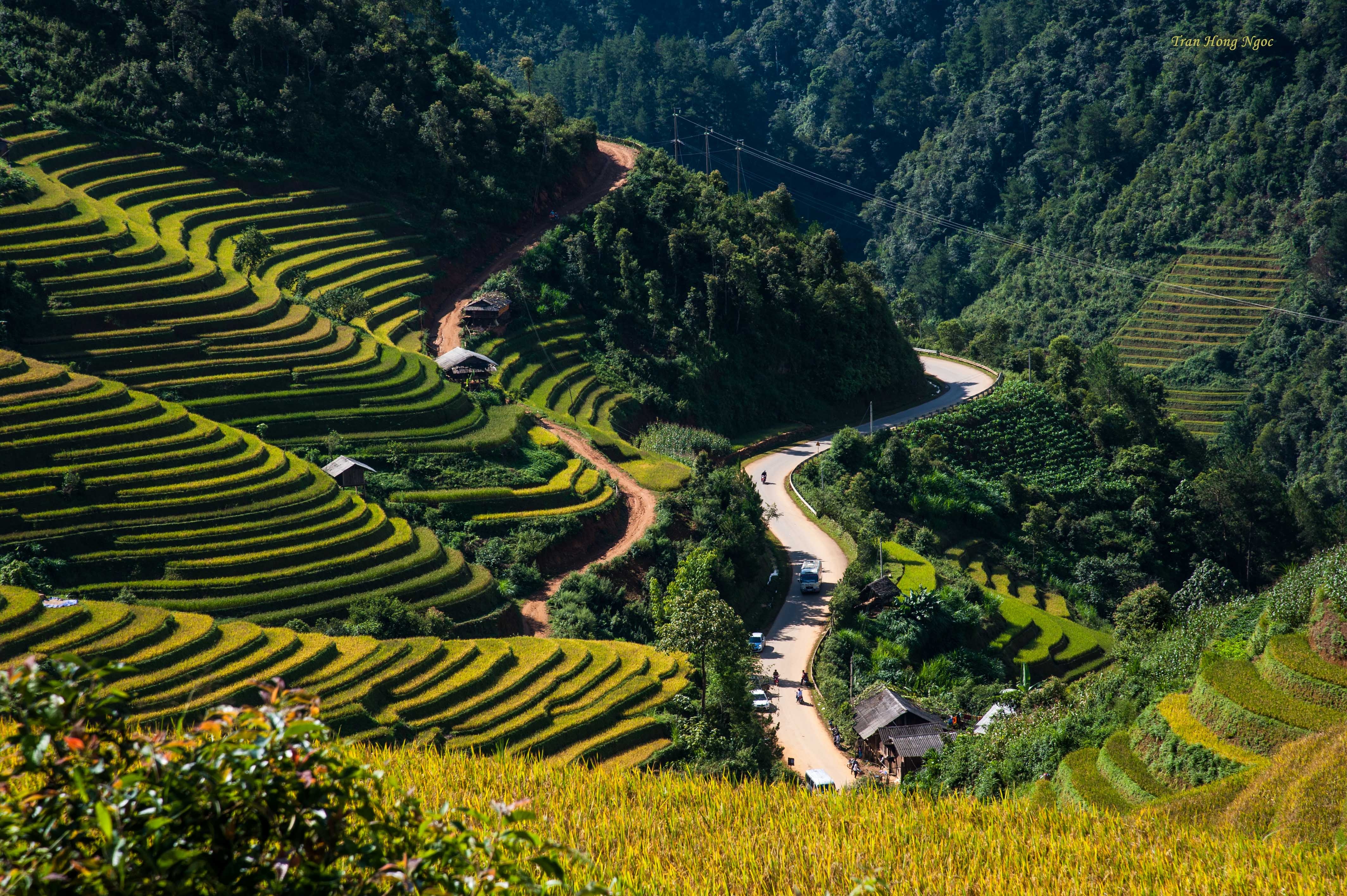 Mù Cang Chải mùa lúa chín ảnh 4 Mu Cang Chai mua lua chin anh 4