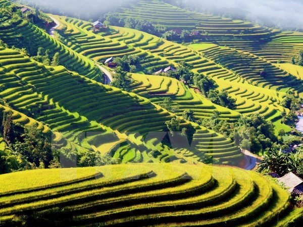 Truyen hinh Duc lam chuong trinh ve dat nuoc, con nguoi Viet hinh anh