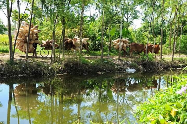 khám phá làng nghề đó Tiên Lữ ảnh 8 kham pha lang nghe do Tien Lu anh 8