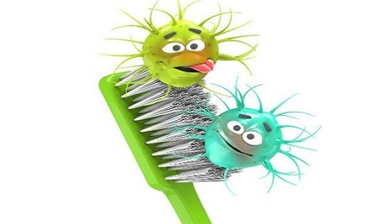 Dung chu quan voi nguy co nhiem benh tu ban chai danh rang hinh anh