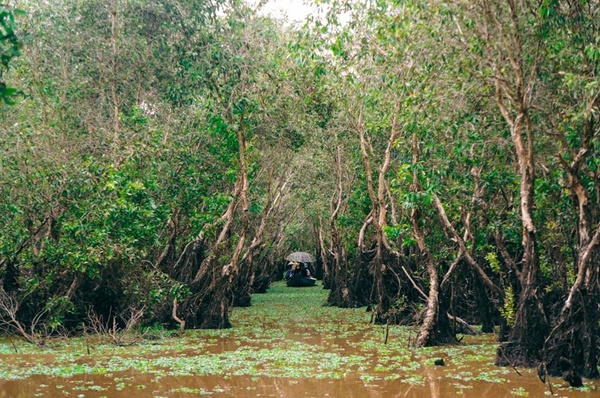 khám phá an giang ảnh 4 kham pha an giang anh 4