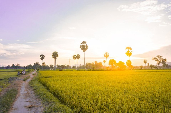 khám phá an giang ảnh 5 kham pha an giang anh 5