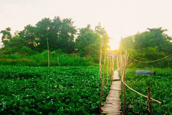 khám phá an giang ảnh 9 kham pha an giang anh 9