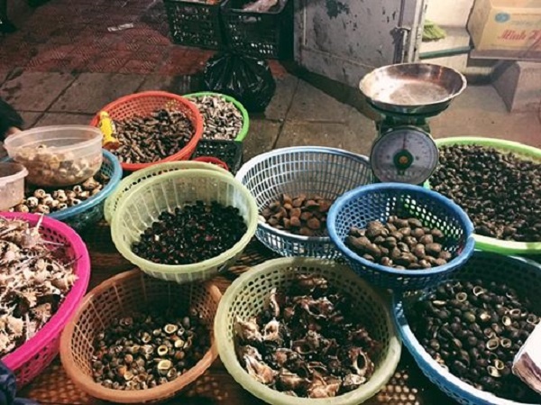 Trải nghiệm đáng nhớ ở Hạ Long ảnh 7 Trai nghiem dang nho o Ha Long anh 7