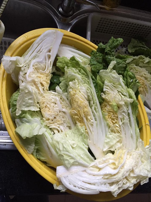 cách làm kim chi muối đơn giản ảnh 2 cach lam kim chi muoi don gian anh 2