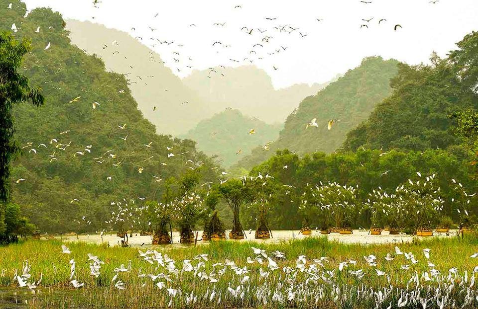 Những trải nghiệm thú vị ở Ninh Bình ảnh 5 Nhung trai nghiem thu vi o Ninh Binh anh 5