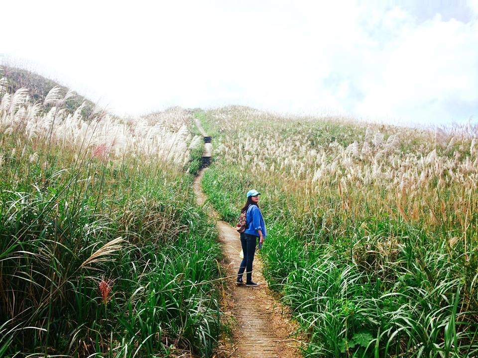 kham pha cung duong co lau o Binh Lieu anh 6