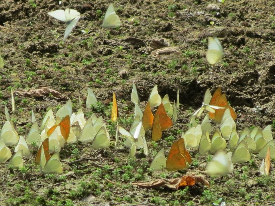 Những trải nghiệm thú vị ở Ninh Bình ảnh 2 Nhung trai nghiem thu vi o Ninh Binh anh 2