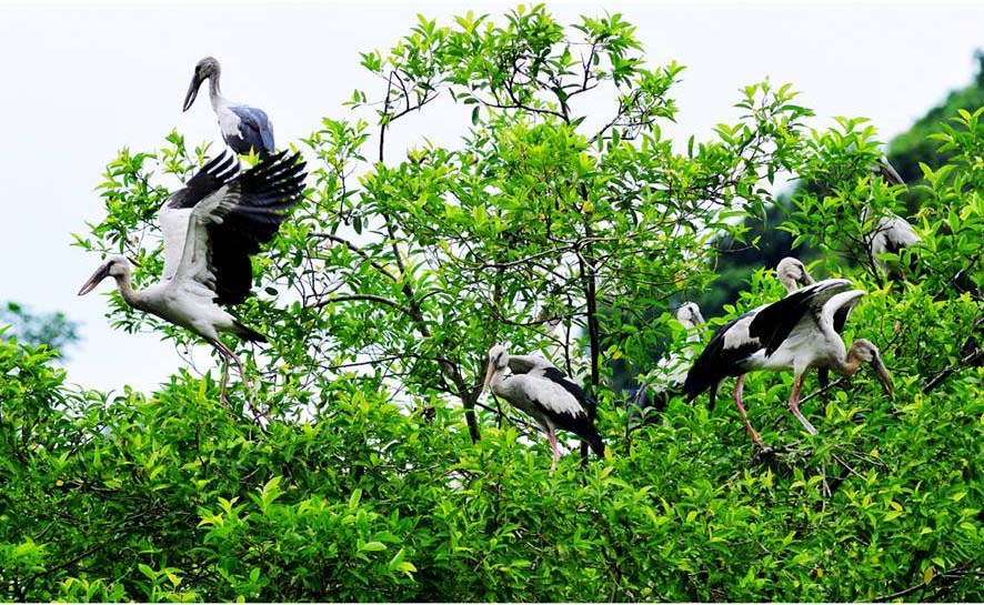 Những trải nghiệm thú vị ở Ninh Bình ảnh 6 Nhung trai nghiem thu vi o Ninh Binh anh 6