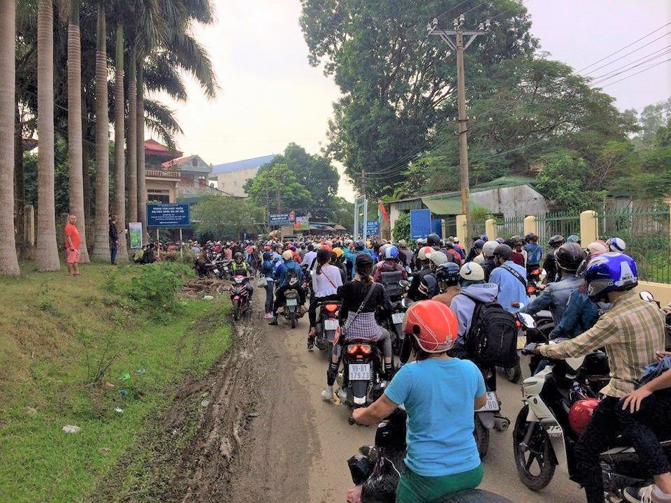 Ba Vì mùa hoa dã quỳ nở ảnh 1 Ba Vi mua hoa da quy no anh 1