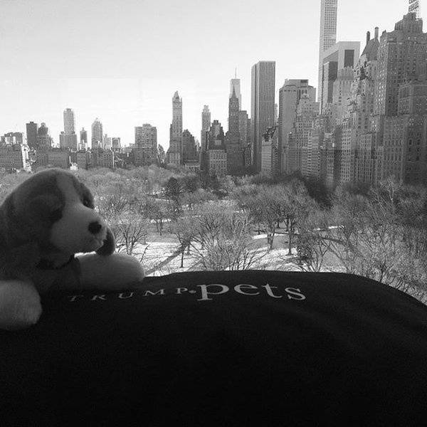 Khách sạn của Trump ảnh 9 Khach san cua Trump anh 9