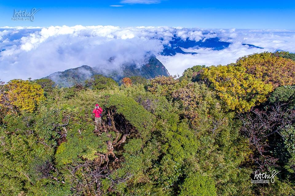 Bach Moc Luong - dinh cao mien vien bien Tay Bac hinh anh