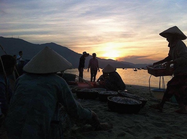 khám phá chợ cá hoàng sa đà nẵng ảnh 2 kham pha cho ca hoang sa da nang anh 2