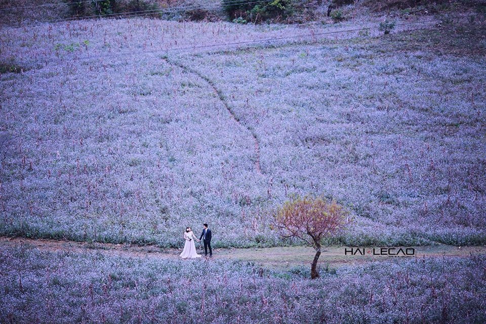 Anh cuoi vung nui phia bac anh 7